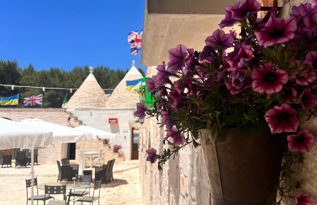 Locazione turistica il boschetto-1